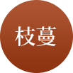 首页 - PG电子官方网站